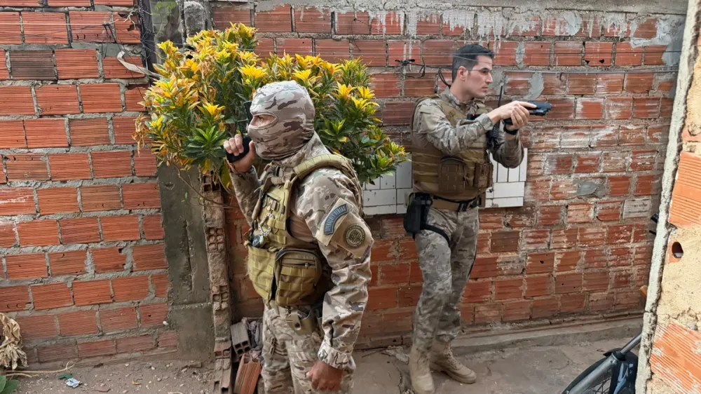 Foto: Reprodução